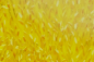 2.test